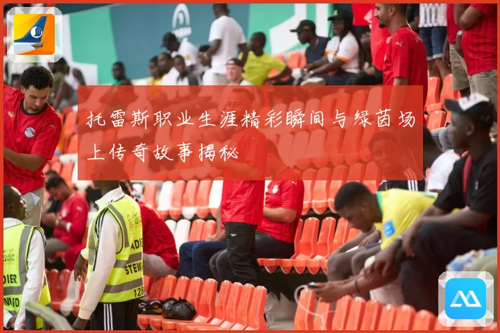 托雷斯职业生涯精彩瞬间与绿茵场上传奇故事揭秘