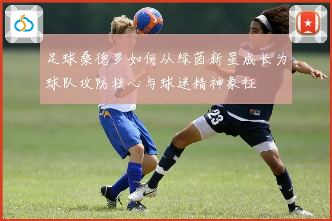 足球桑德罗如何从绿茵新星成长为球队攻防核心与球迷精神象征