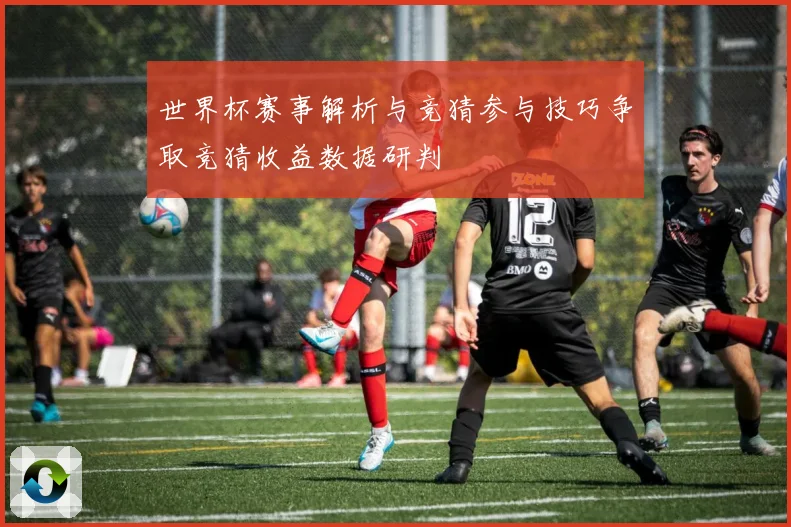 世界杯赛事解析与竞猜参与技巧争取竞猜收益数据研判